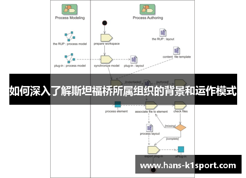 如何深入了解斯坦福桥所属组织的背景和运作模式